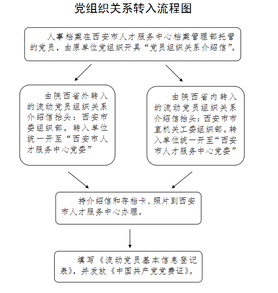 最新转党组织关系流程全面解析